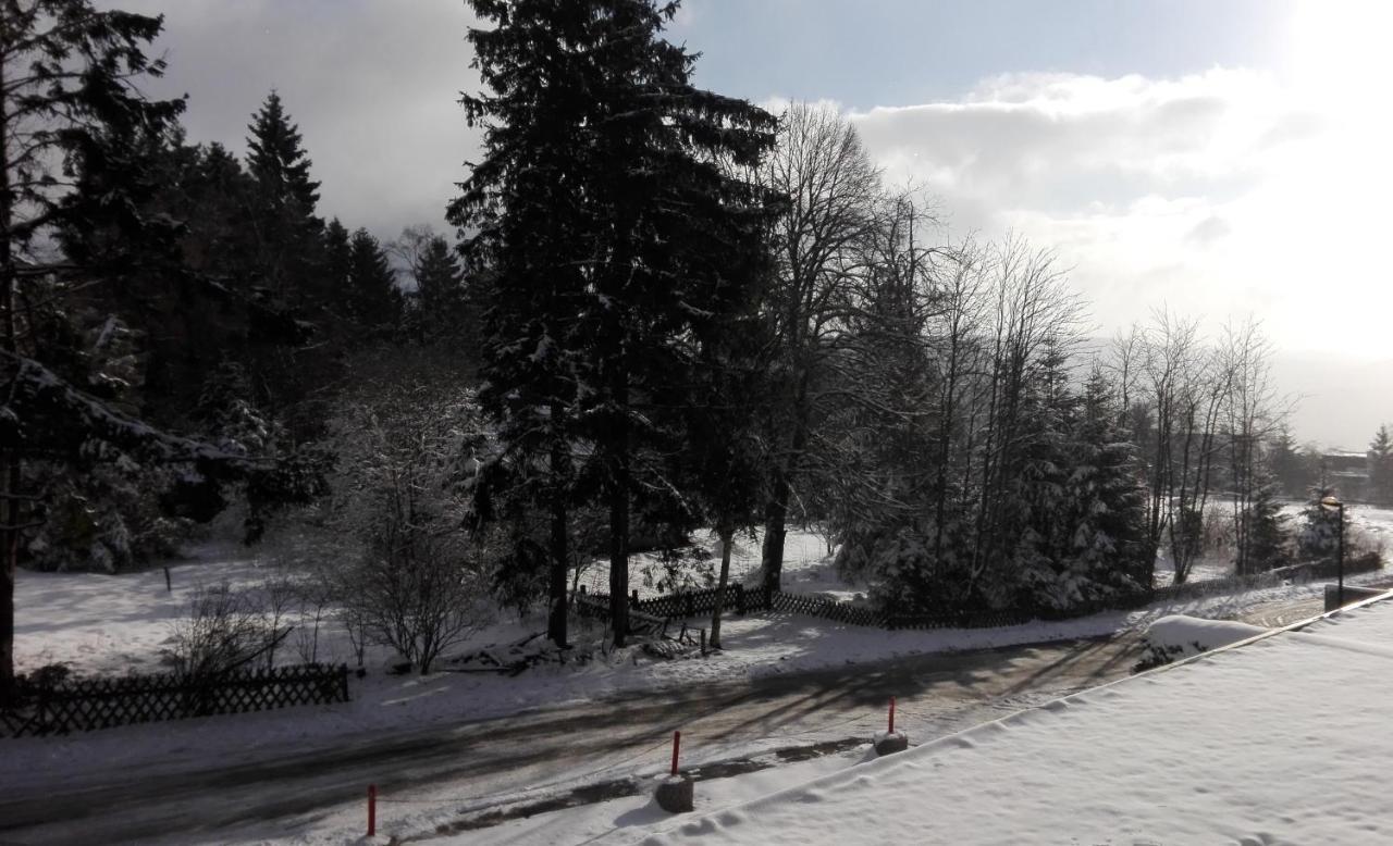 Fichtenweg 54 Winterberg Esterno foto